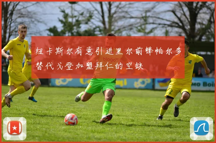 纽卡斯尔有意引进里尔前锋帕尔多替代戈登加盟拜仁的空缺